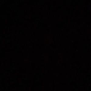 Pumpkin decorations (6  Pumpkins)